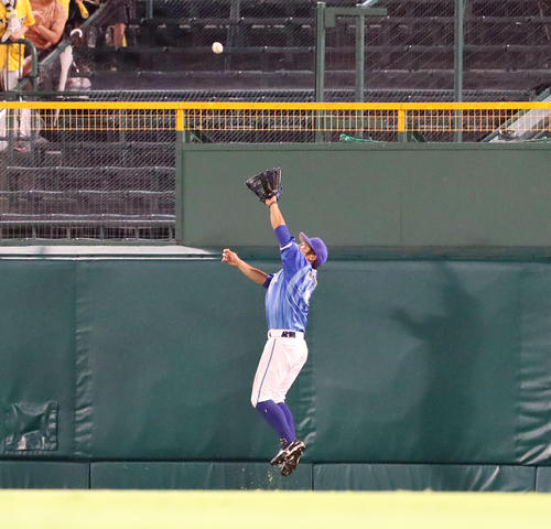 阪神対DeNA　3回裏阪神2死、桑原は陽川の飛球をジャンプして好捕する（撮影・加藤哉）