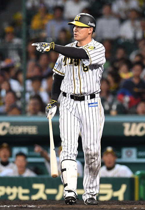 ガルシアのボークを指摘する福留(撮影・奥田泰也)
