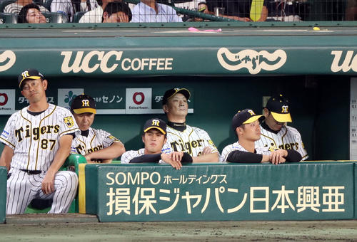 アルモンテに逆転となる2点適時打を許し、ベンチでぼうぜんとする金本監督(中央後方)(撮影・前田充)