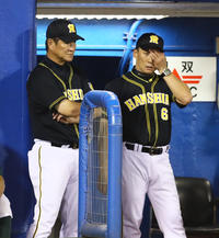 阪神金本監督「一番強い」思惑外れ誤算地獄のV逸 - プロ野球 : 日刊