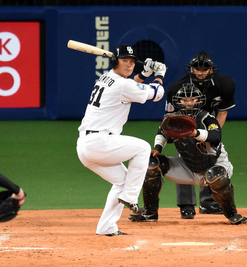 中日野本（16年5月5日撮影）