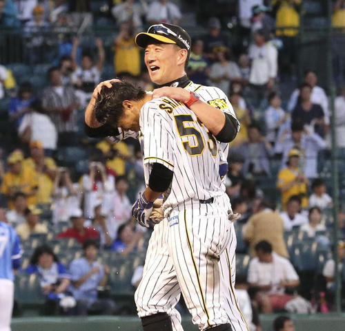 阪神対DeNA　10回裏阪神2死満塁、サヨナラ打を放った島田（手前）を手荒く祝福する金本監督（撮影・上山淳一）