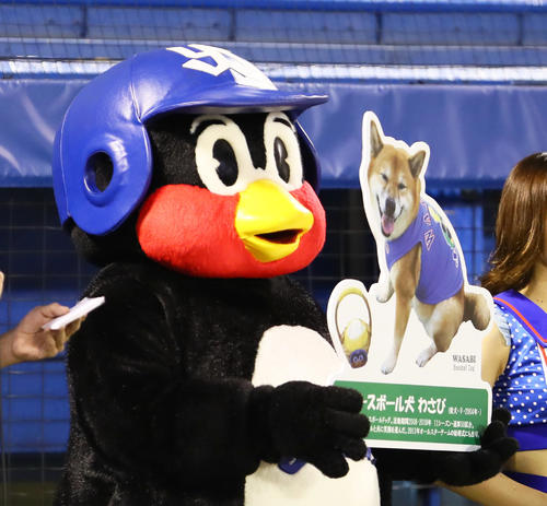 試合前、ベースボール犬「わさび」を等身大パネルで紹介するヤクルトのつば九郎(撮影・足立雅史)