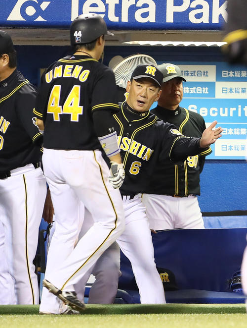 ヤクルト対阪神 5回表阪神1死一、二塁、相手失策の間に生還した二塁走者梅野(左)を迎える金本監督(撮影・足立雅史)
