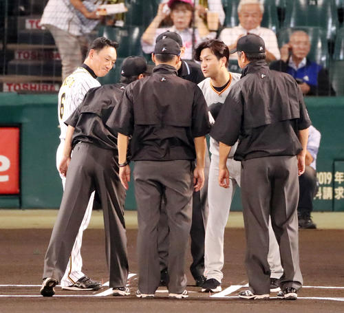 阪神対巨人　試合前、審判団と握手する高橋監督、左は金本監督（撮影・加藤哉）