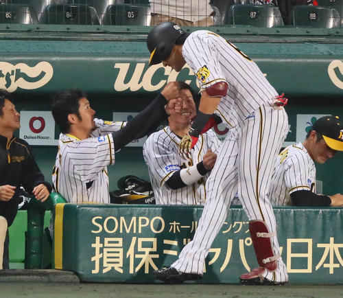 阪神対DeNA 6回裏阪神1死、代打中谷将大は左越え同点本塁打を放ち、岩田稔(左)にアゴタッチで迎えられる(撮影・宮崎幸一)