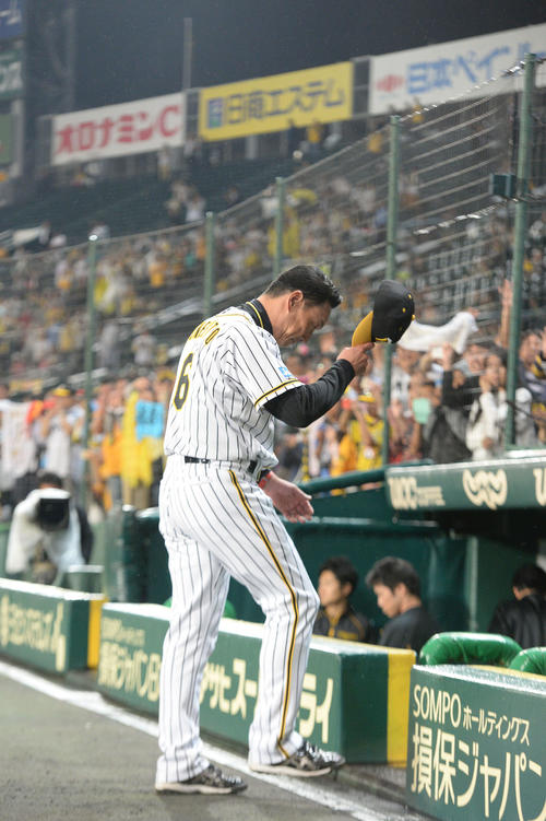 阪神対DeNA ファンへのあいさつを終え引き揚げる金本監督(撮影・渦原淳)