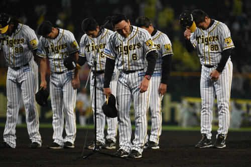 阪神対DeNA ファンを前に頭を下げる阪神金本監督とナイン(撮影・渦原淳)