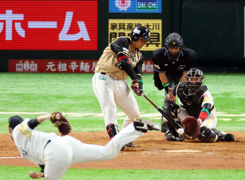 ソフトバンク対日本ハム　8回表日本ハム1死、代打清宮幸太郎は二ゴロに倒れる。投手加治屋蓮（撮影・栗木一考）
