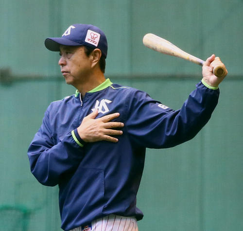 試合前、練習を見つめるヤクルト小川監督(撮影・足立雅史)