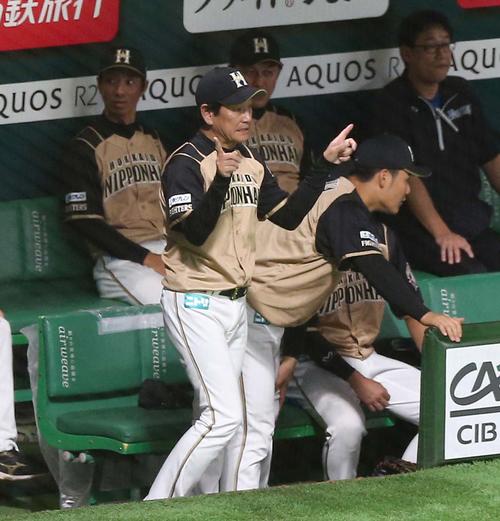 デスパイネのポール際の本塁打についてリクエストするも失敗に終わる栗山監督（撮影・黒川智章）