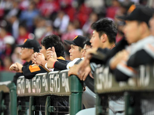 広島対巨人　9回裏、厳しい表情で戦況を見つめる巨人坂本勇（撮影・たえ見朱実）