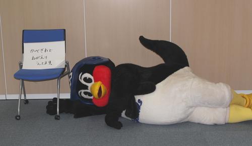 会見が行われず、コンサートキャンセルのような流れに、壁際に寝返りをうつつば九郎は「かってにしやがれ」