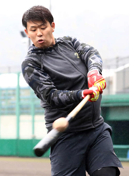 愛媛県内で自主トレを行い打撃練習する楽天浅村（2019年1月12日）