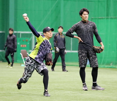 自主トレを公開した西（左）は藤浪（右）、才木とキャッチボールする（2019年1月20日）