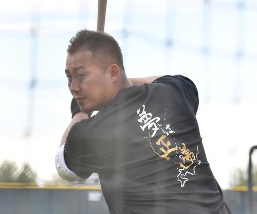 自主トレで「夢は正夢」と書かれたTシャツを着て打撃練習をする日本ハム中田(撮影・菅敏)