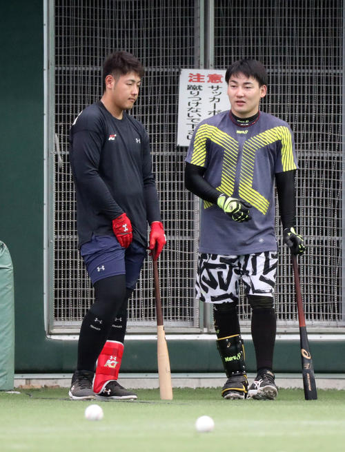 フリー打撃の合間に言葉を交わす巨人丸(右)と岡本=宮崎(撮影・垰建太)