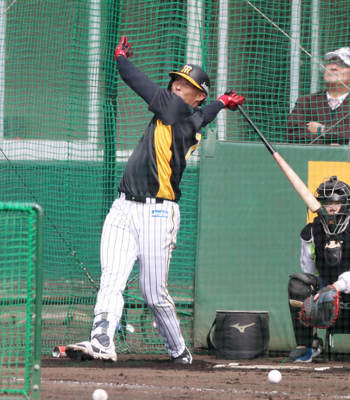 フリーバッティング練習をする糸井（撮影・加藤哉）