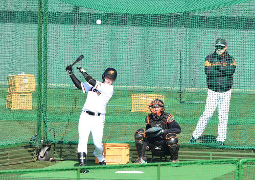 フリー打撃で快音を響かせる巨人丸。後方は原監督（撮影・山崎安昭）