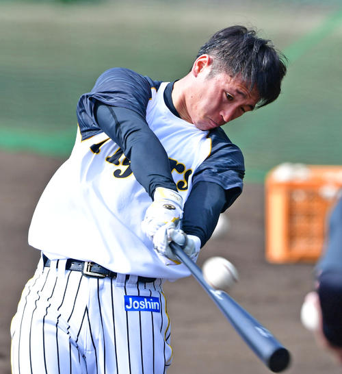 ロングティーを行うドラフト1位ルーキーの阪神近本（撮影・清水貴仁）
