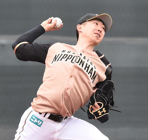 ブルペンで投球練習をする日本ハム金子（撮影・菅敏）