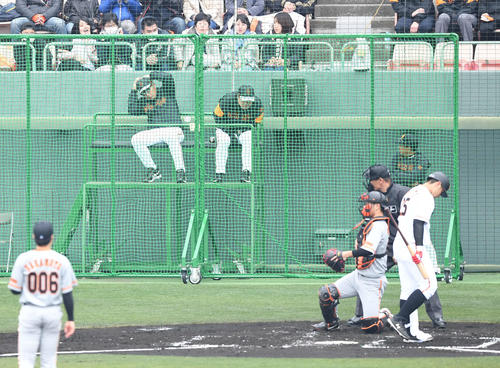 巨人紅白戦　2回裏1軍無死、岡本の鋭い邪飛が原監督（後方中央）の方向へ。ネットで跳ね返った打球がかすめた（撮影・山崎安昭）
