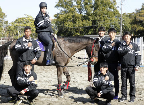 乗馬を体験し「奪Sh」ポーズの後列左から水谷瞬、甲斐野央、杉山一樹、泉圭輔、奥村政稔、前列左から野村大樹、板東湧梧（撮影・菊川光一）