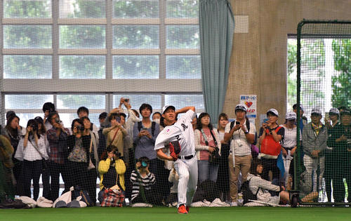 ファンの前で室内練習場でキャッチボールするロッテ藤原（撮影・滝沢徹郎）
