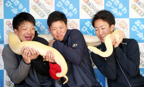 幸運を呼ぶ白へびソルトと写真に納まる、左からDeNA知野、上茶谷、大貫（撮影・鈴木正人）