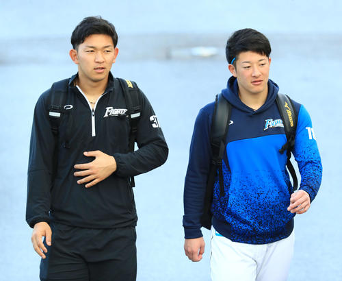 宿舎から徒歩で球場に向かう日本ハム吉田輝（右）と柿木（撮影・江口和貴）