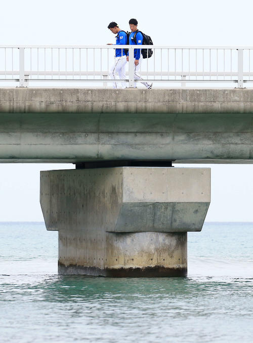 球場へ向かう橋の上から海をのぞく日本ハム吉田輝（右）。左は柿木（撮影・江口和貴）