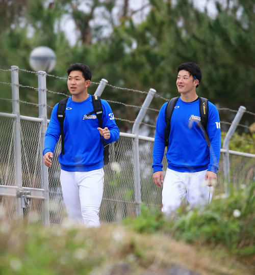 徒歩で球場へ向かう日本ハム吉田輝（右）と柿木（撮影・江口和貴）