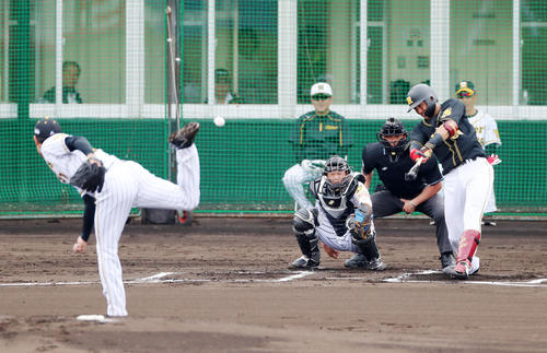 紅白戦　1回表紅組2死一塁、中谷は右前安打を放つ（撮影・加藤哉）