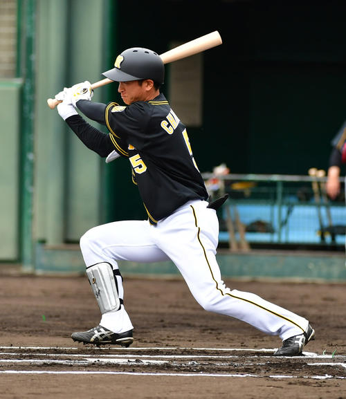 紅白戦　1回表紅組1死、二ゴロに倒れる近本光司（撮影・清水貴仁）＝2019年2月7日、かりゆしホテルズボールパーク宜野座