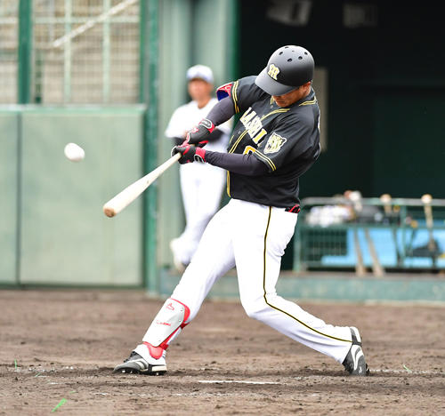 6回表紅組2死一、二塁、右越え3点本塁打を放つ木浪聖也（撮影・清水貴仁）