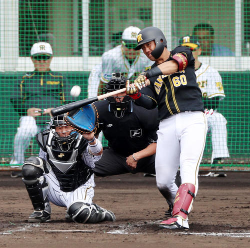 紅白戦　2回表紅組2死二、三塁、中谷は左越え3点本塁打を放つ（撮影・加藤哉）