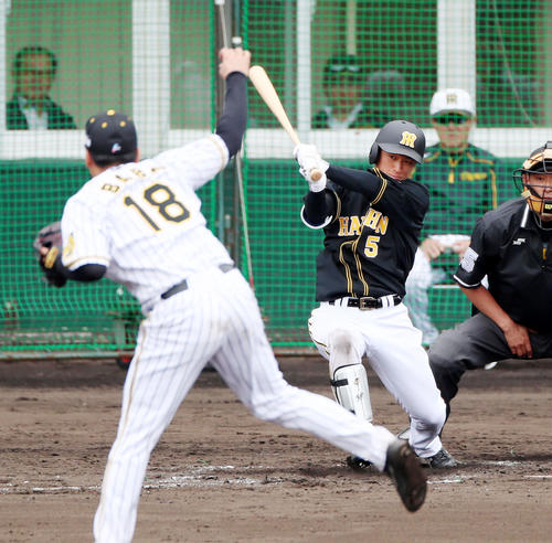 紅白戦　3回表紅組2死一塁、近本は右前打を放つ（撮影・加藤哉）
