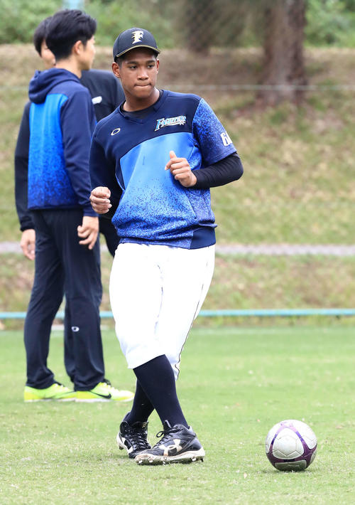 サッカーボールを蹴る日本ハム万波（撮影・江口和貴）