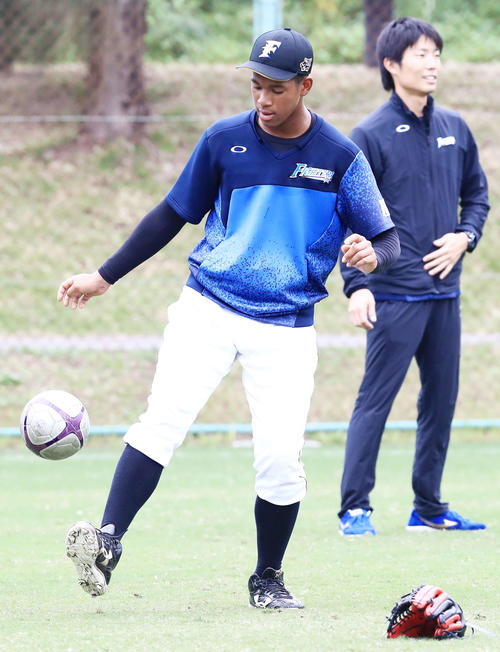 サッカーボールでリフティングする日本ハム万波（撮影・江口和貴）