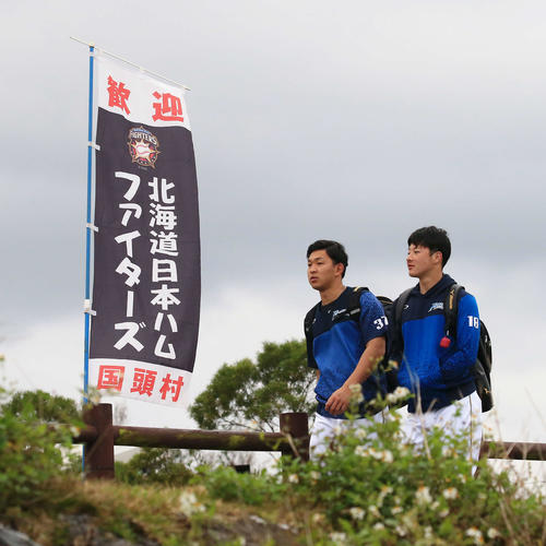 歩いて球場入りする日本ハム吉田輝(右)と柿木(撮影・江口和貴)