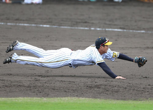 5回表紅組無死一塁、梅野隆太郎の打球を横っ飛びでキャッチしアウトを奪う遊撃手の木浪聖也（撮影・上山淳一）