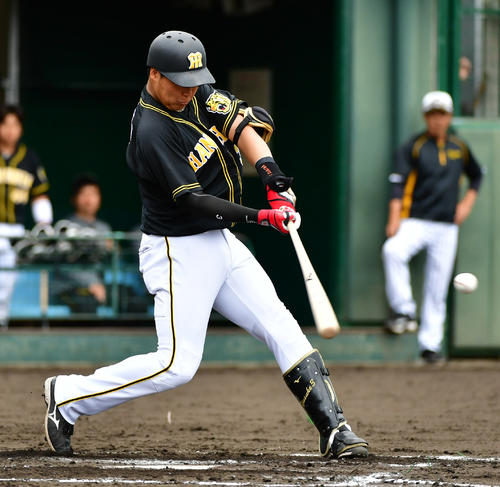 紅白戦　2回表紅組2死満塁、左前へ2点適時打を放つ大山（撮影・清水貴仁）