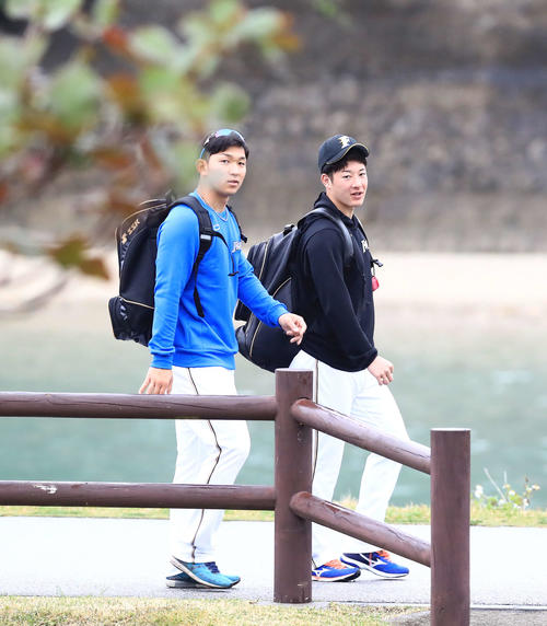 今日も一緒に球場入りする日本ハム吉田輝星(右)と柿木蓮(撮影・江口和貴)