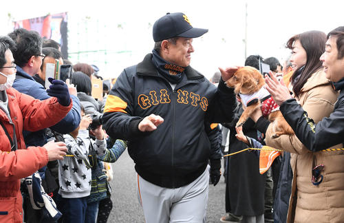 ファンサービスの戻りに犬をなでる巨人原監督(撮影・山崎安昭)