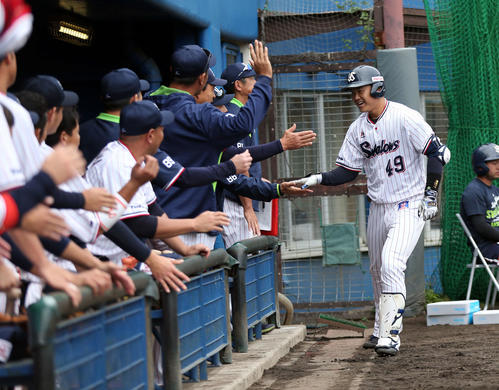 練習試合ヤクルト対KIA 8回裏ヤクルト2死満塁、満塁本塁打を放ち、ベンチに迎えられる渡辺(撮影・狩俣裕三)
