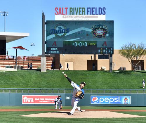 韓国NCとの対外試合に先発し、2回を無安打無失点に抑えた日本ハム斎藤(撮影・菅敏)