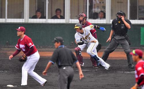 3回裏阪神1死一、二塁、右前に先制適時打を放つ北條史也（撮影・上田博志）