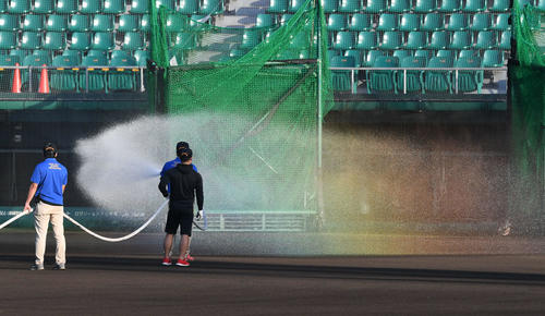 沖縄セルラースタジアム那覇の散水中に朝日に照らされて虹が出現（撮影・山崎安昭）