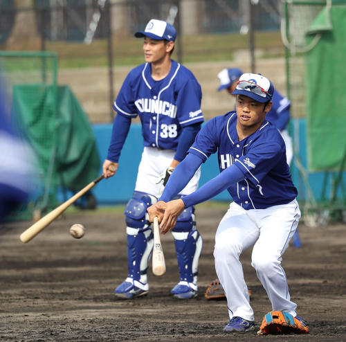 ペッパーをする中日根尾(撮影・井上学)