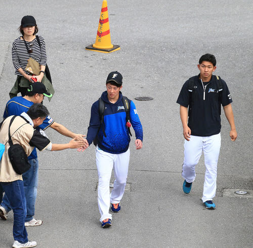紅白戦開始約3時間前に球場入りしファンとタッチをかわす日本ハム吉田輝(左)。右は柿木(撮影・江口和貴)